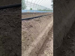 Vải tưới nhỏ giọt